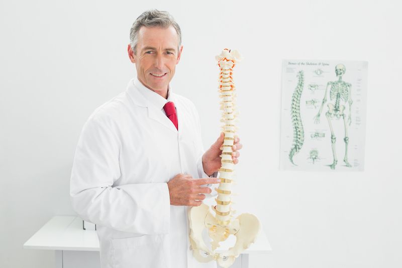 spinal adjustment, back pain, spine health, Charleston spine